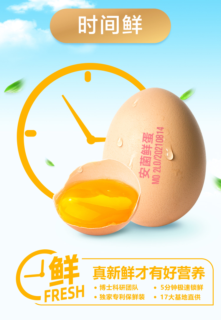 安(an)菌蛋9.15_03.jpg