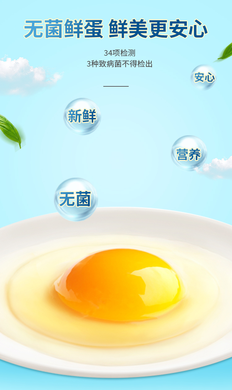 安(an)菌蛋9.15_08.jpg
